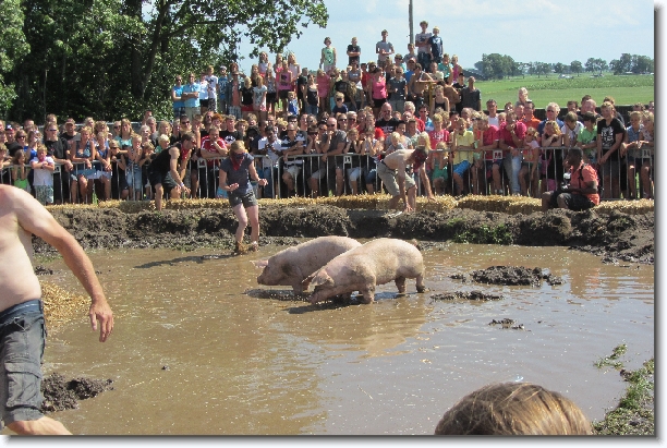 Volgende foto