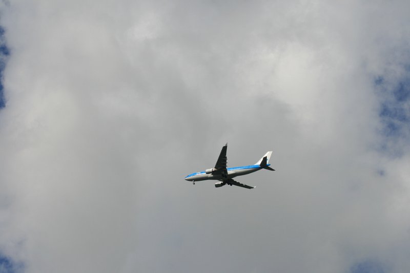 IMG 5269
