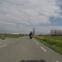 G0034156