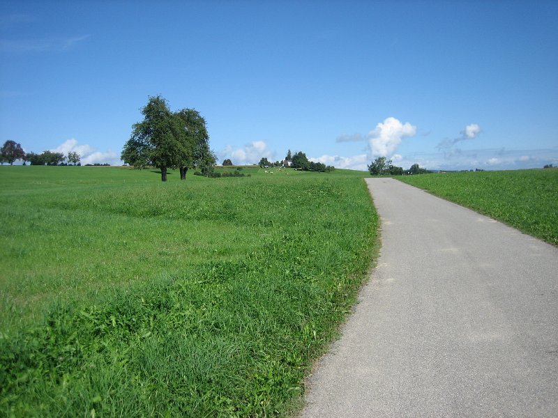 IMG 4345