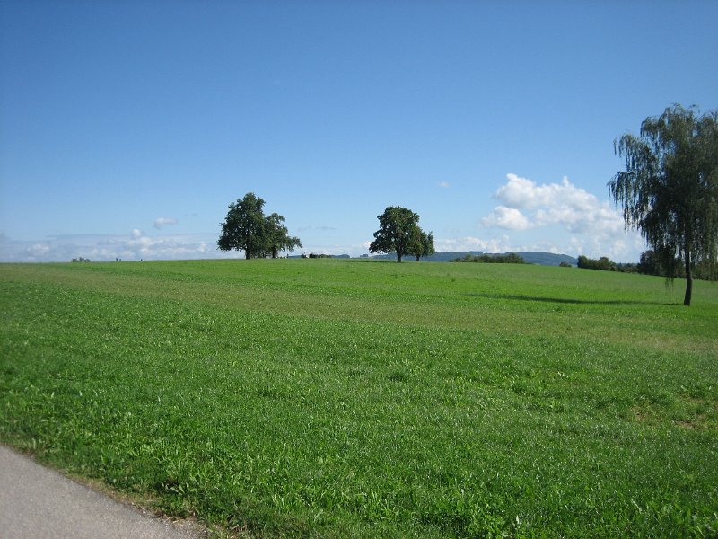 IMG 4346