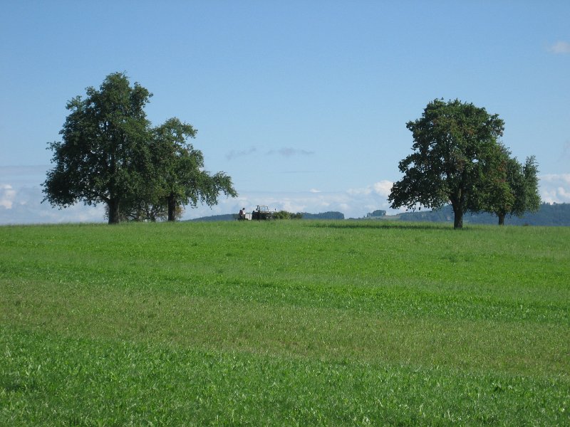 IMG 4347