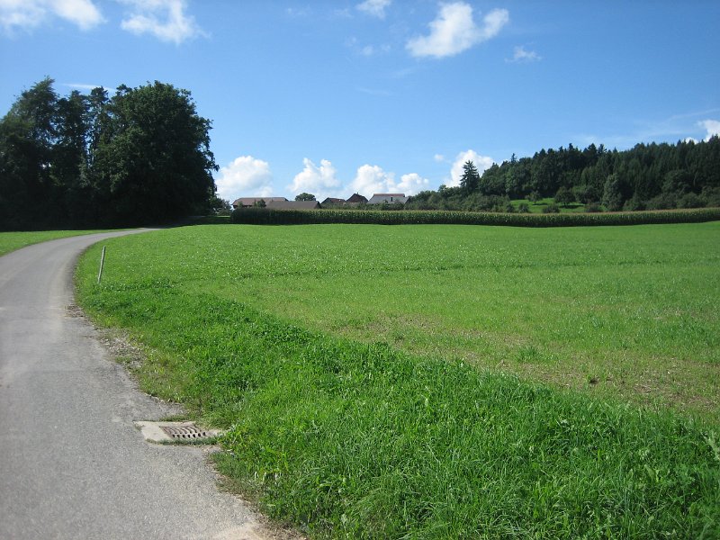 IMG 4348