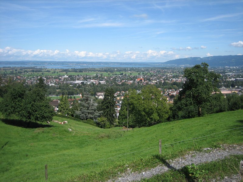 IMG 4353