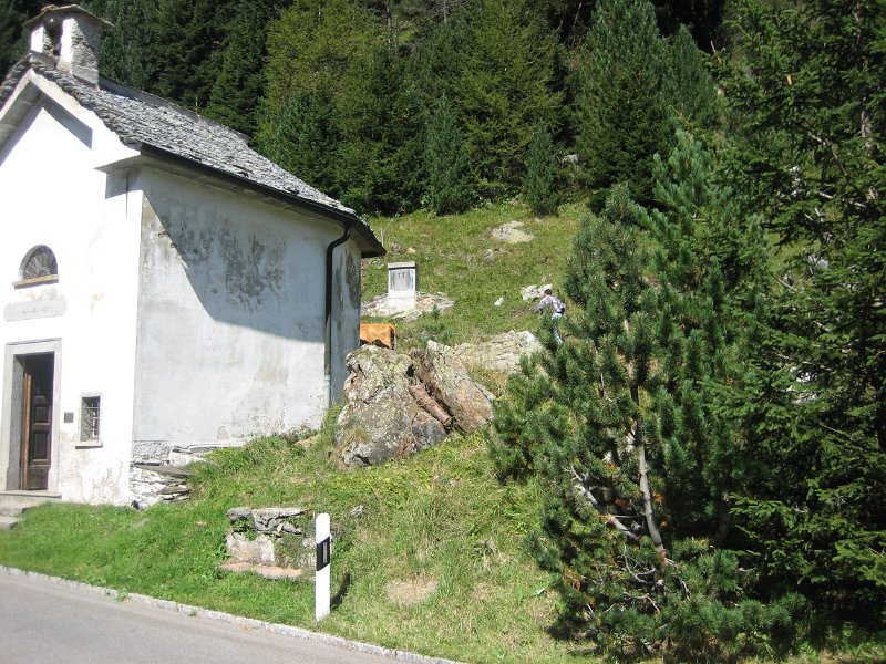 IMG 4390