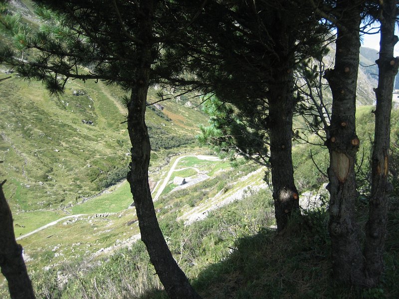 IMG 4399