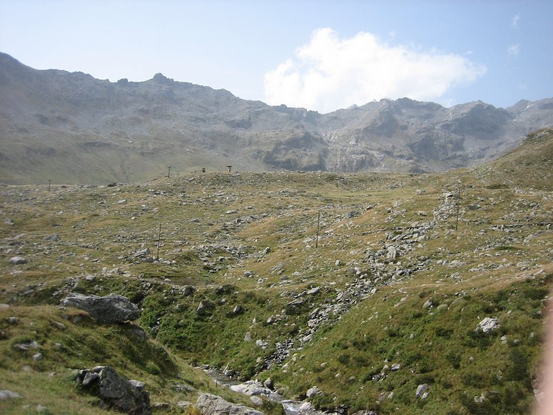 IMG 4438