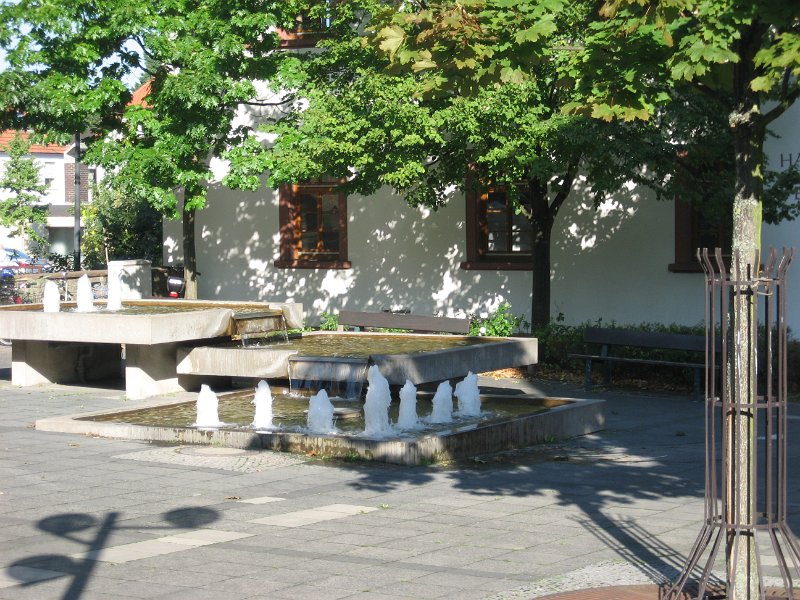 IMG 4521