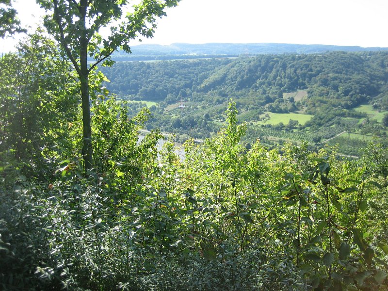 IMG 4528