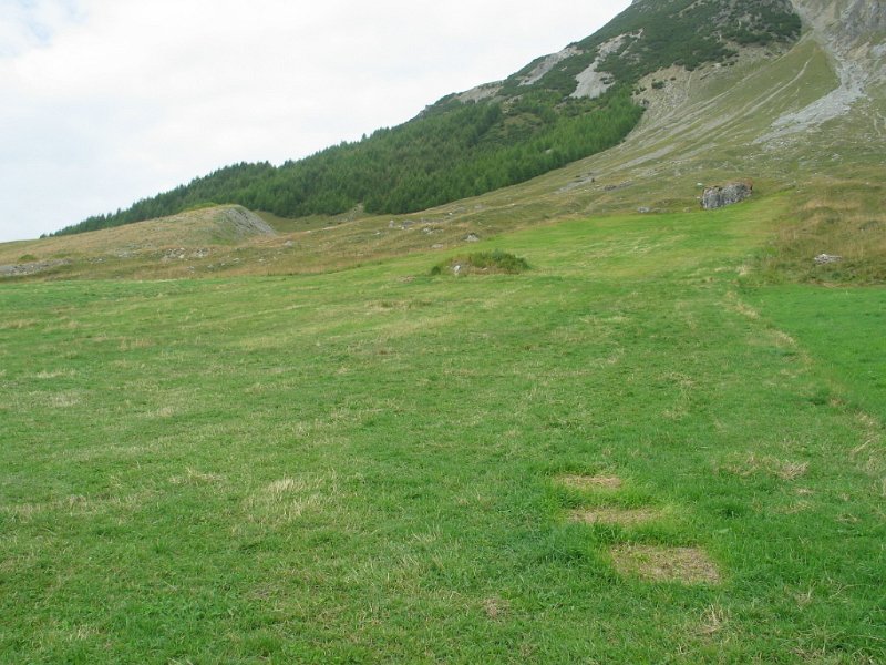 IMG 4826