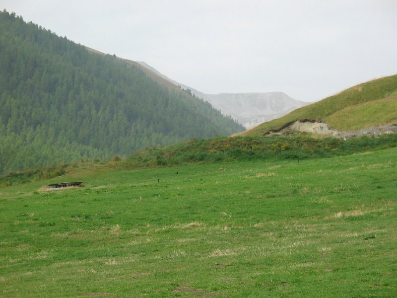 IMG 4833