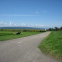 IMG 4342
