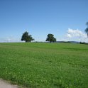 IMG 4346