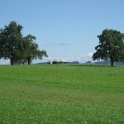 IMG 4347