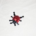 IMG 4361