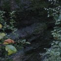 IMG 4374