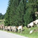 IMG 4389