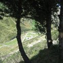 IMG 4399