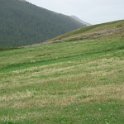IMG 4407