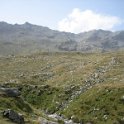 IMG 4438