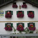 IMG 4468