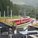 IMG 4471