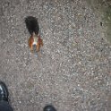 IMG 4498
