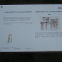 IMG 4516