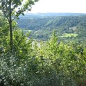 IMG 4528