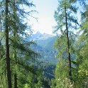 IMG 4801
