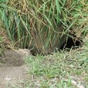 IMG 4828