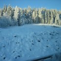 IMG 6805