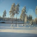 IMG 6808