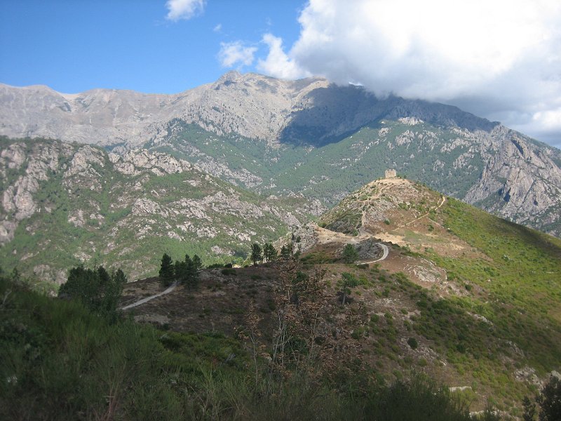 IMG 0544