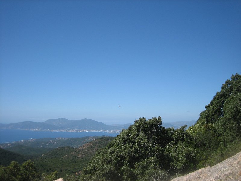 IMG 0548