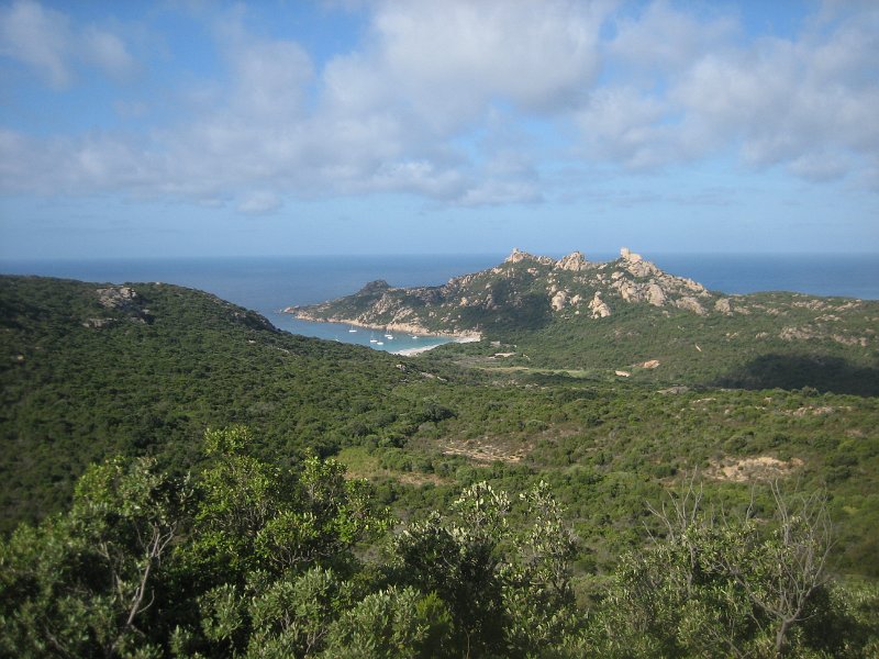 IMG 0678
