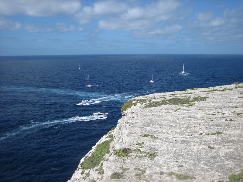 IMG 0707