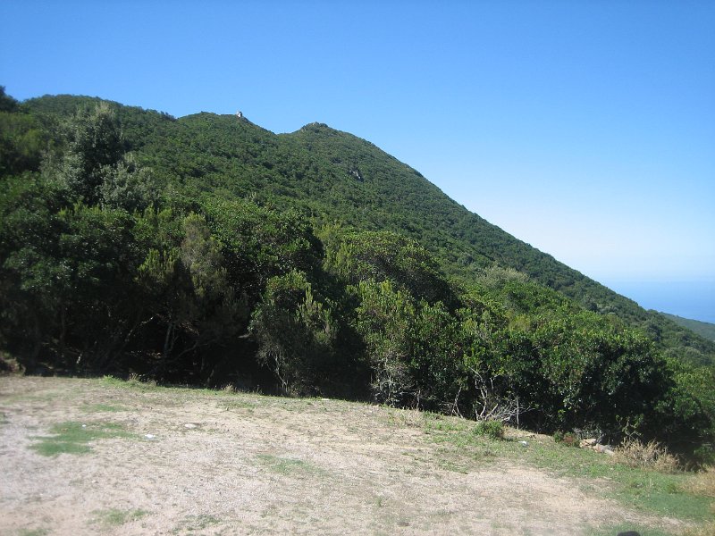 IMG 0850
