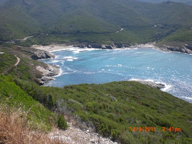 CIMG0555