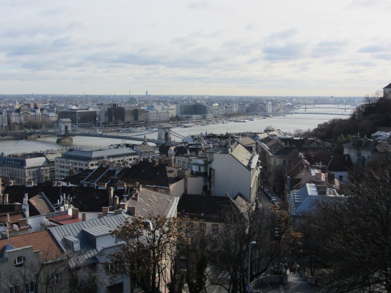IMG 0282