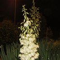 IMG 2825