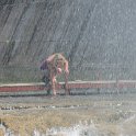 IMG 2995