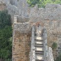 IMG 3079