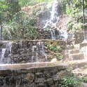 IMG 3154