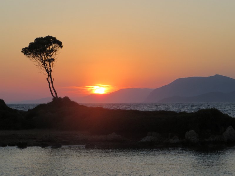 IMG 0502