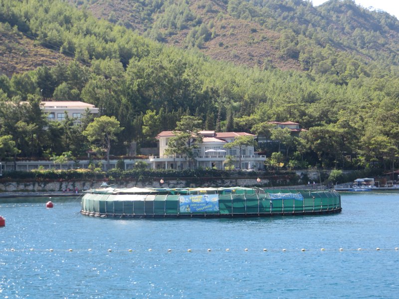IMG 0567