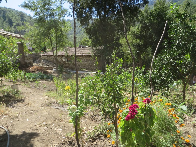 IMG 0634