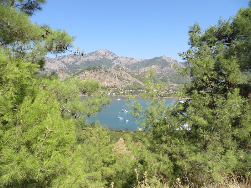 IMG 0654