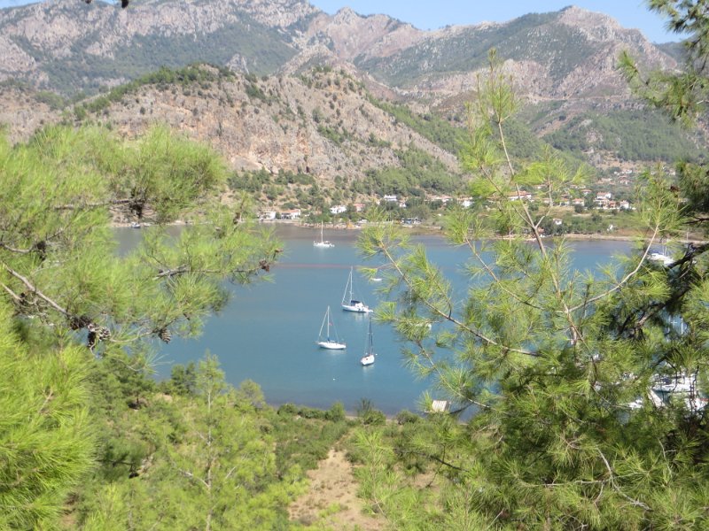 IMG 0655