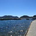 IMG 0374